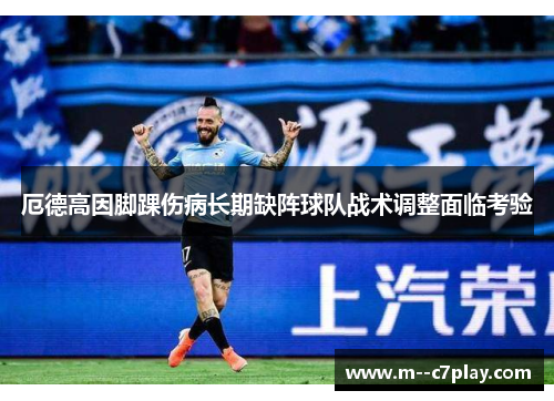 厄德高因脚踝伤病长期缺阵球队战术调整面临考验