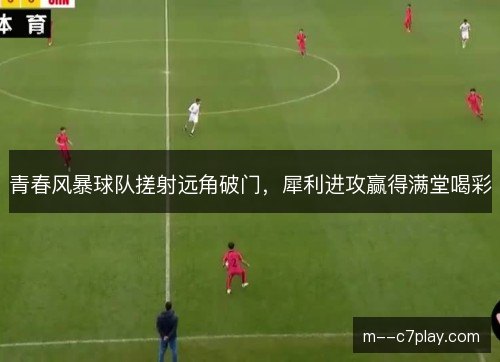 青春风暴球队搓射远角破门,犀利进攻赢得满堂喝彩 青春风暴球队搓射远角破门,犀利进攻赢得满堂喝彩